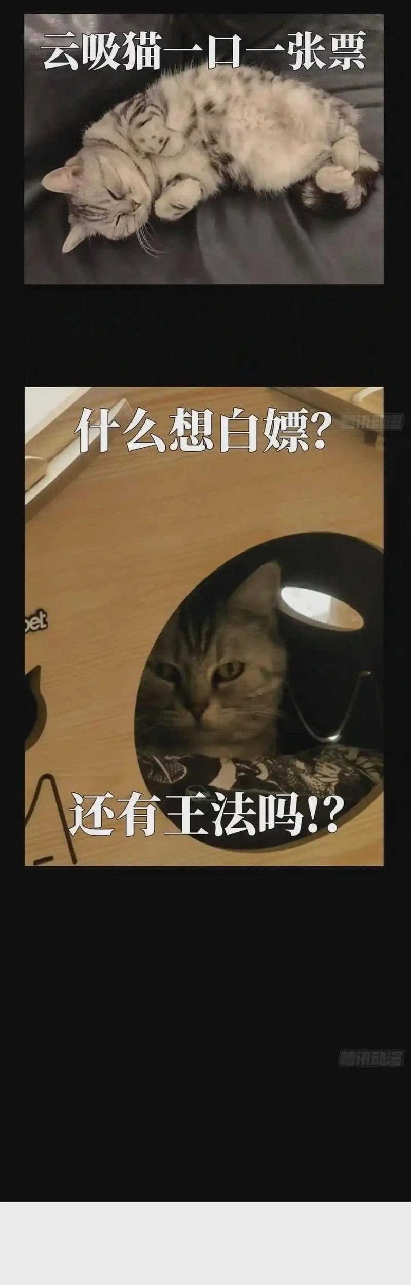 Elephant Invisible Chapter 125 Gambar 25