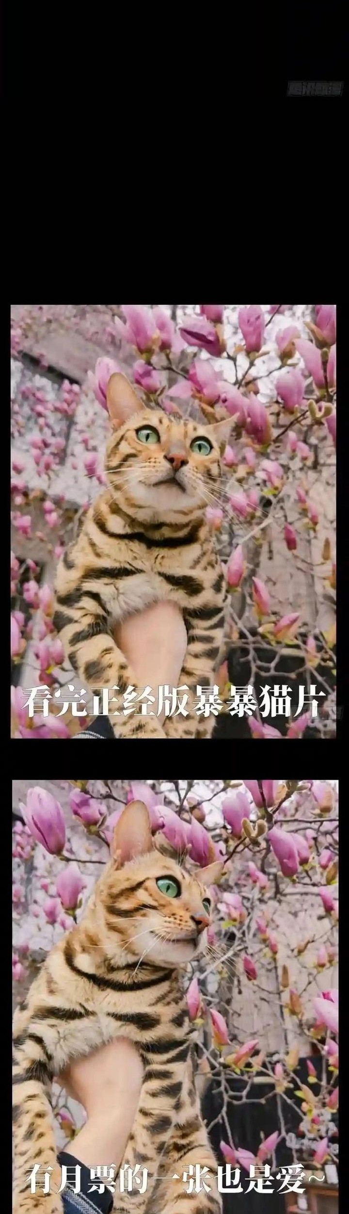 Elephant Invisible Chapter 127 Gambar 4