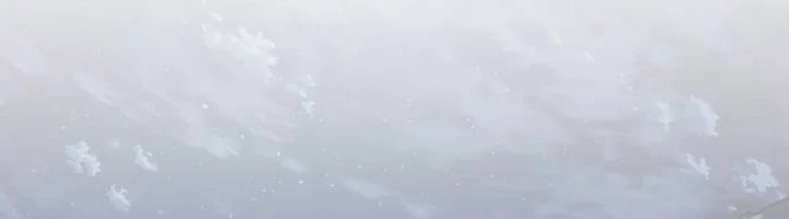 Entomologist in Sichuan Tang Clan Chapter 61 Gambar 60