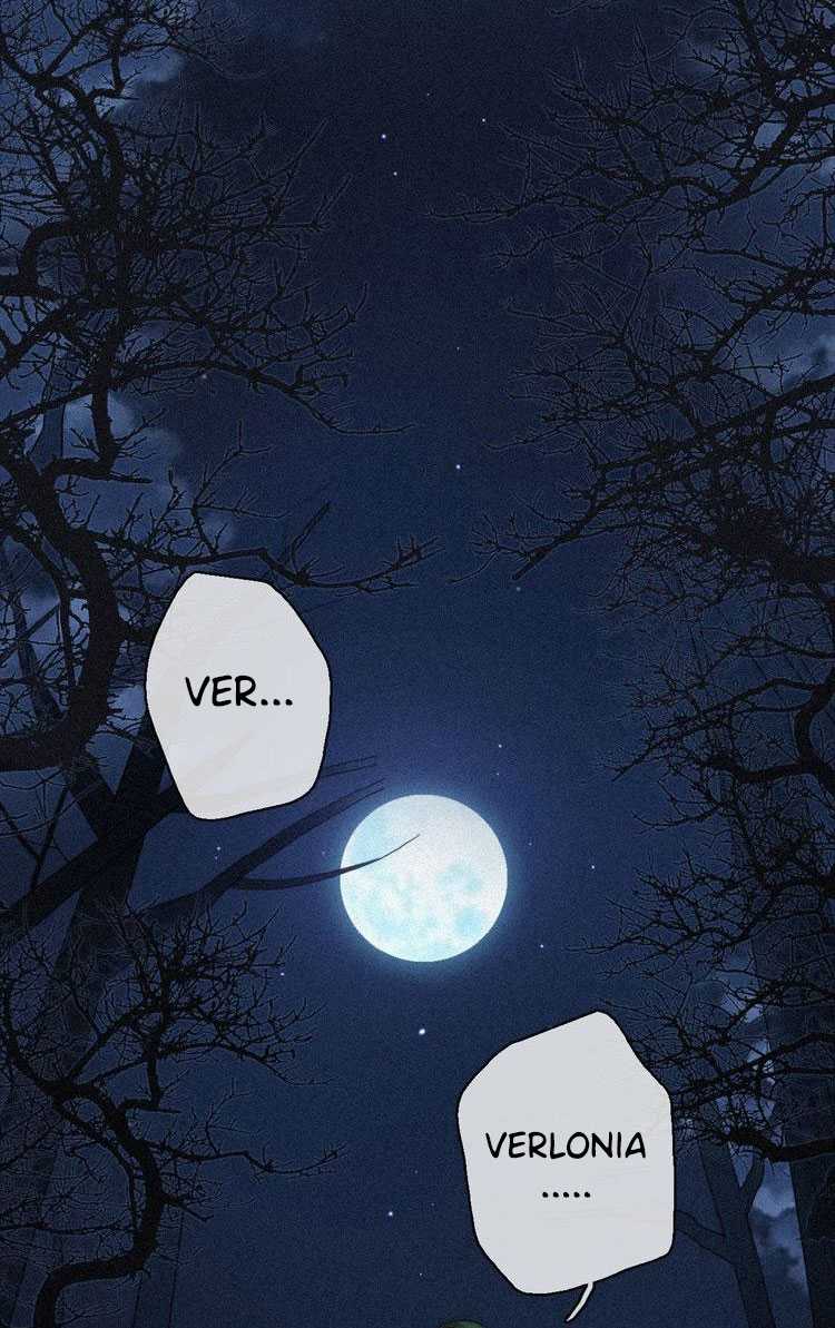 Falling in the Night with You Chapter 11 Gambar 12