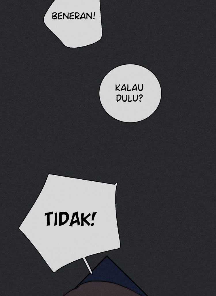 Falling in the Night with You Chapter 11 Gambar 77