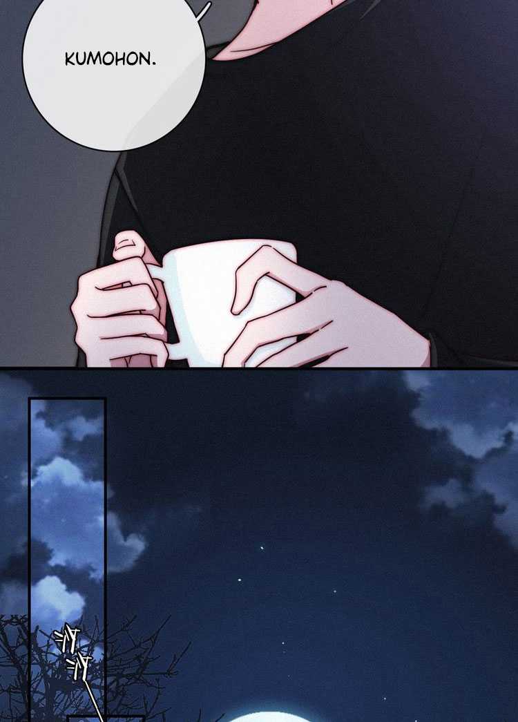 Falling in the Night with You Chapter 13.2 Gambar 55