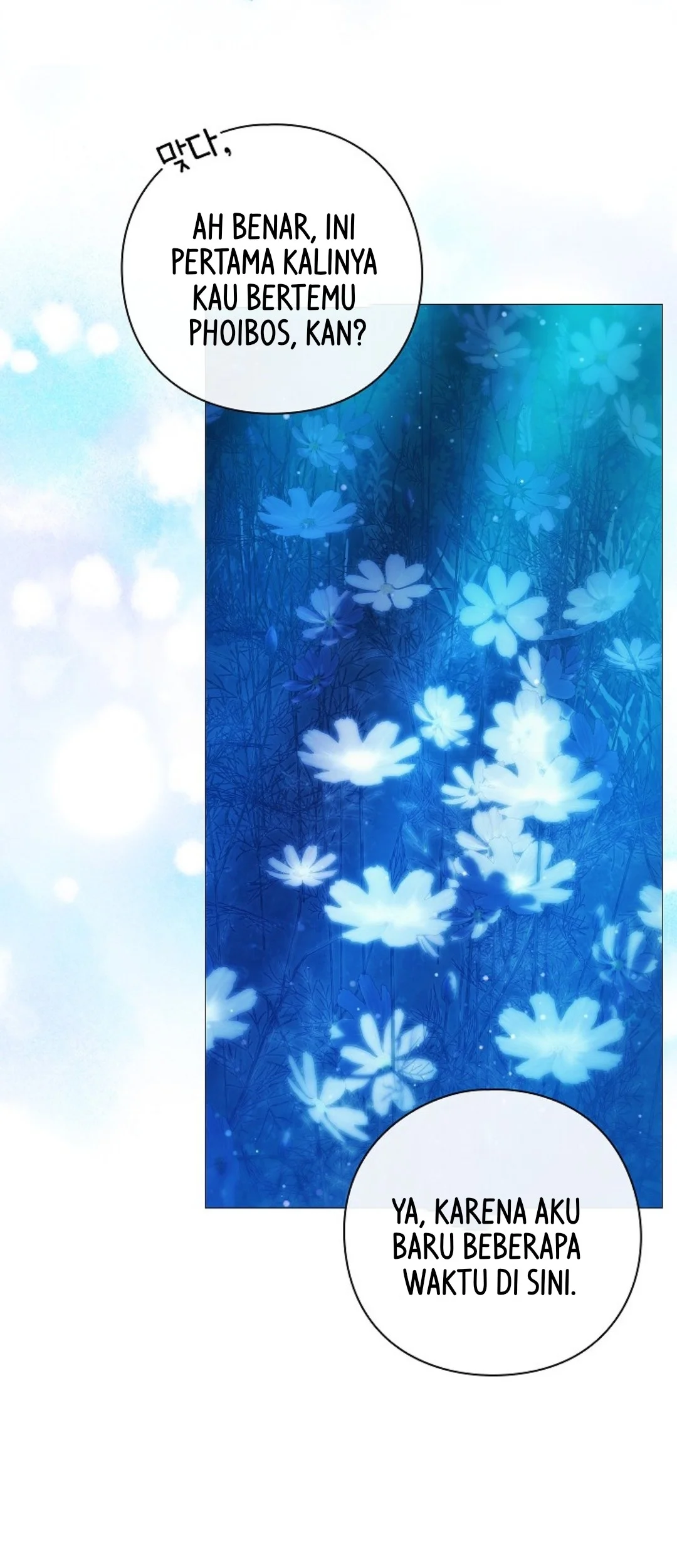 For the Goddesses: For Daphne Chapter 1 Gambar 38