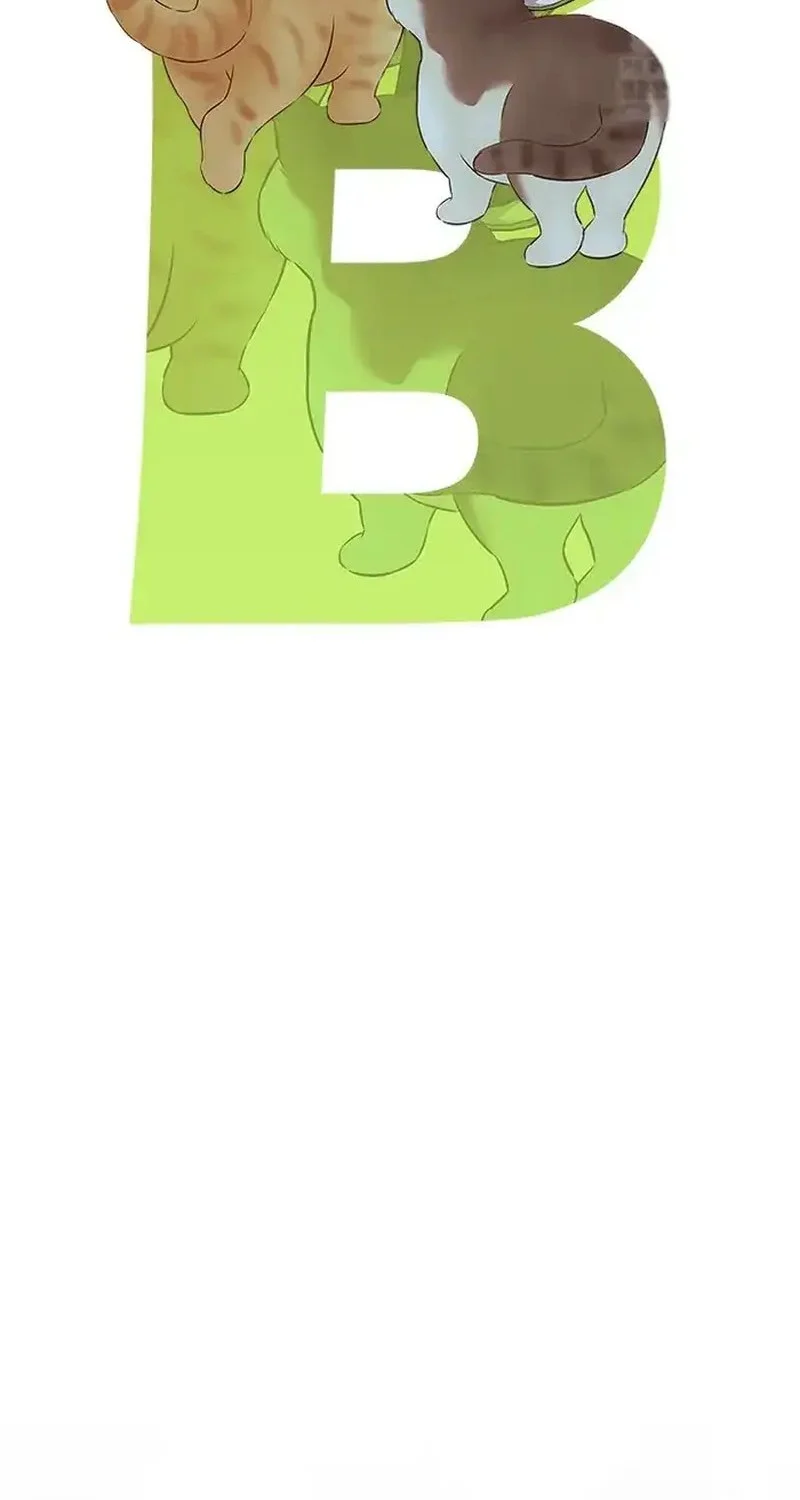 God of Blackfield Chapter 256 Gambar 8