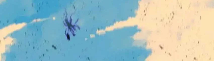 Hero X Demon Empress Chapter 56 Gambar 11