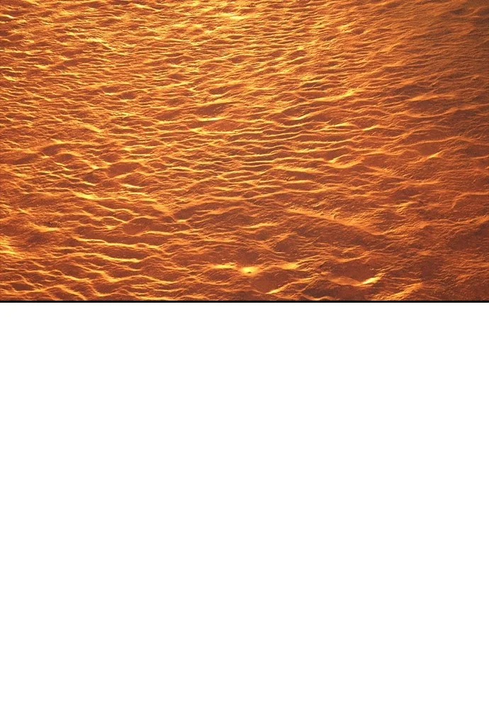 Highschool Lunch Dad Chapter 126 Gambar 162