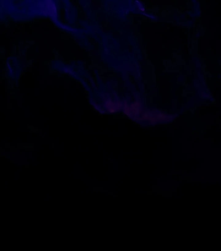 I Became a Tyrant’s Maid Chapter 62 Gambar 94