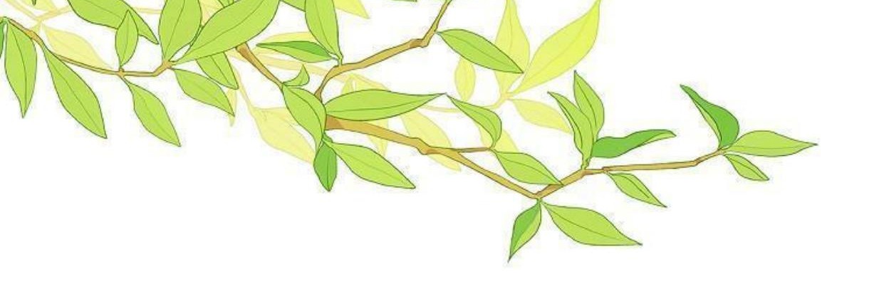 I Soon Became the Contract Daughter of a Ruined Family Chapter 1 Gambar 216