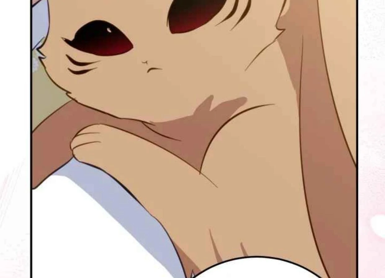 I Soon Became the Contract Daughter of a Ruined Family Chapter 29 Gambar 103