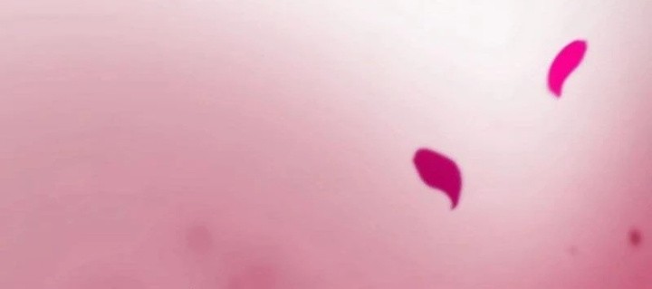 I Will Break Ties With the Harmful Sister Chapter 15 Gambar 53