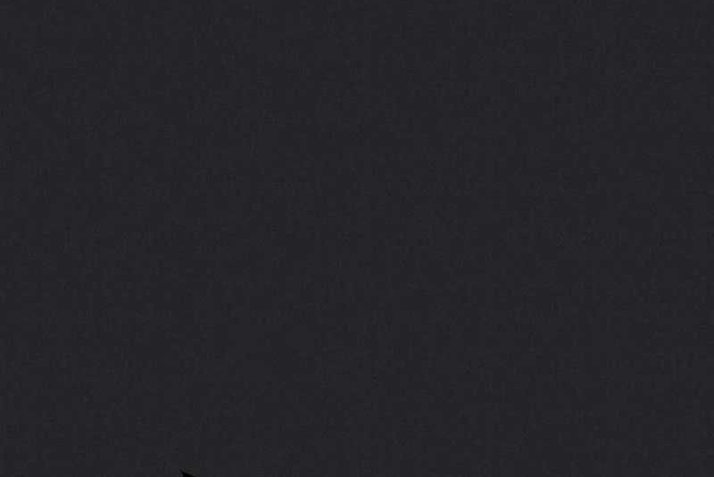 Insector Chapter 15 Gambar 40