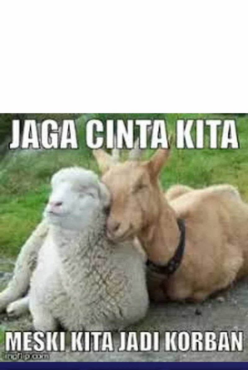 Insector Chapter 15 Gambar 96