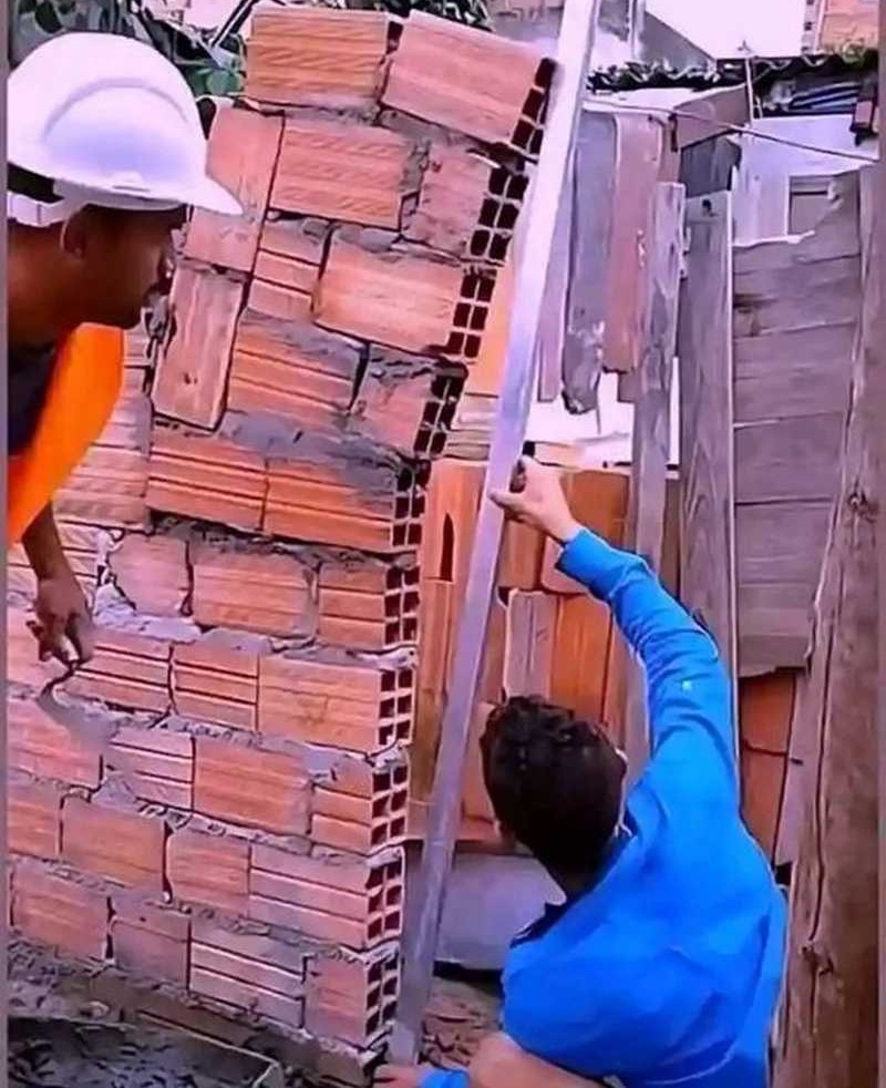 Insector Chapter 20 Gambar 90