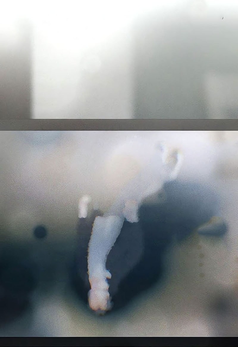 Job Change Log Chapter 17 Gambar 17