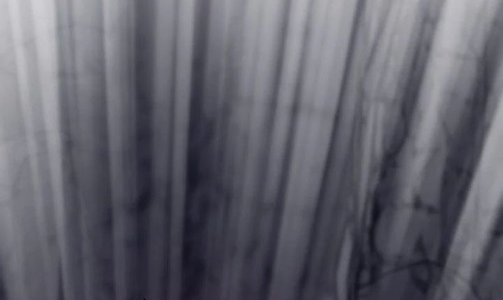 Past Life Regressor (Remake 2022) Chapter 120 Gambar 48