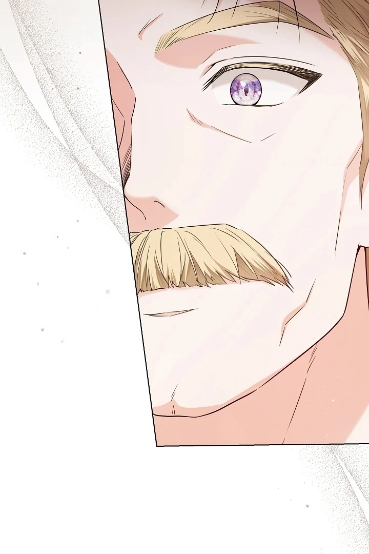 Princess Who Hides Her Fandom Chapter 40 Gambar 11