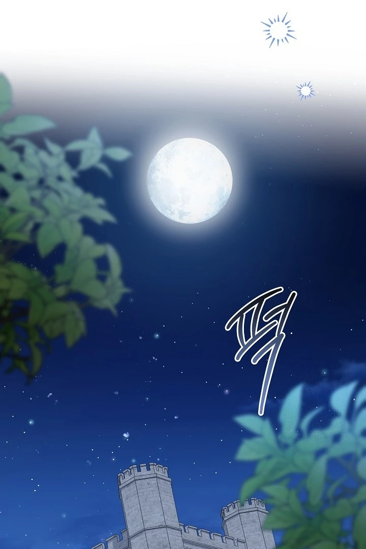 Princess Who Hides Her Fandom Chapter 62 Gambar 108