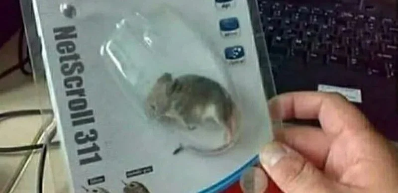 Reincarnated as a Genius Prodigy of a Prestigious Family Chapter 64 Gambar 72