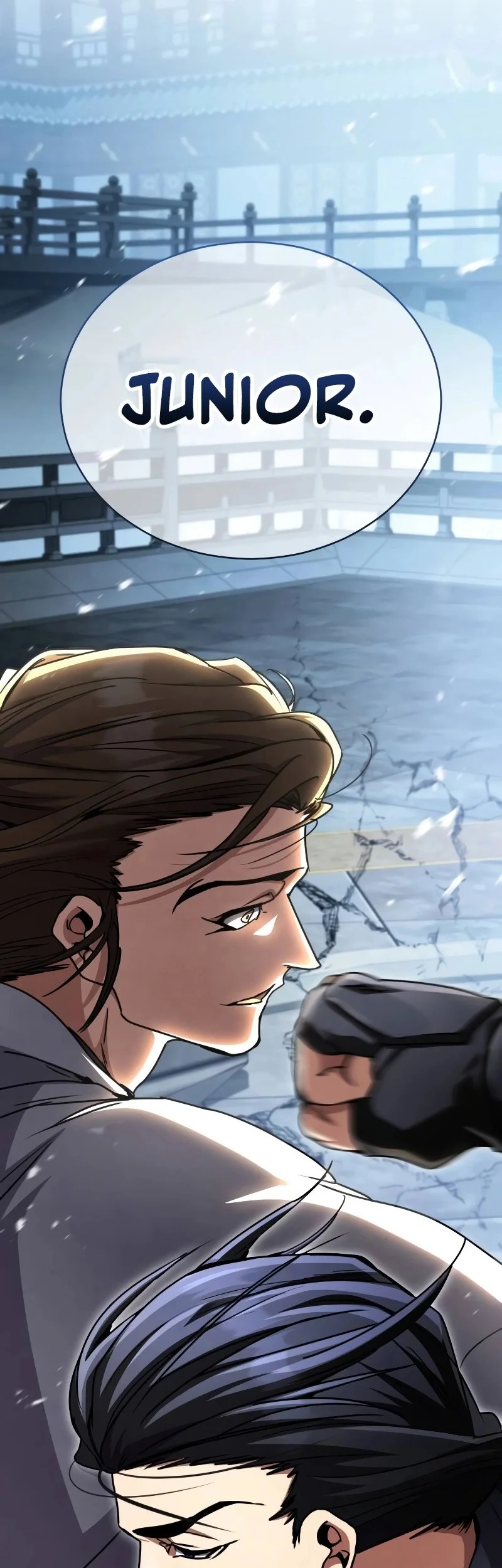 Reincarnation Of The Fist King Chapter 30 Gambar 111