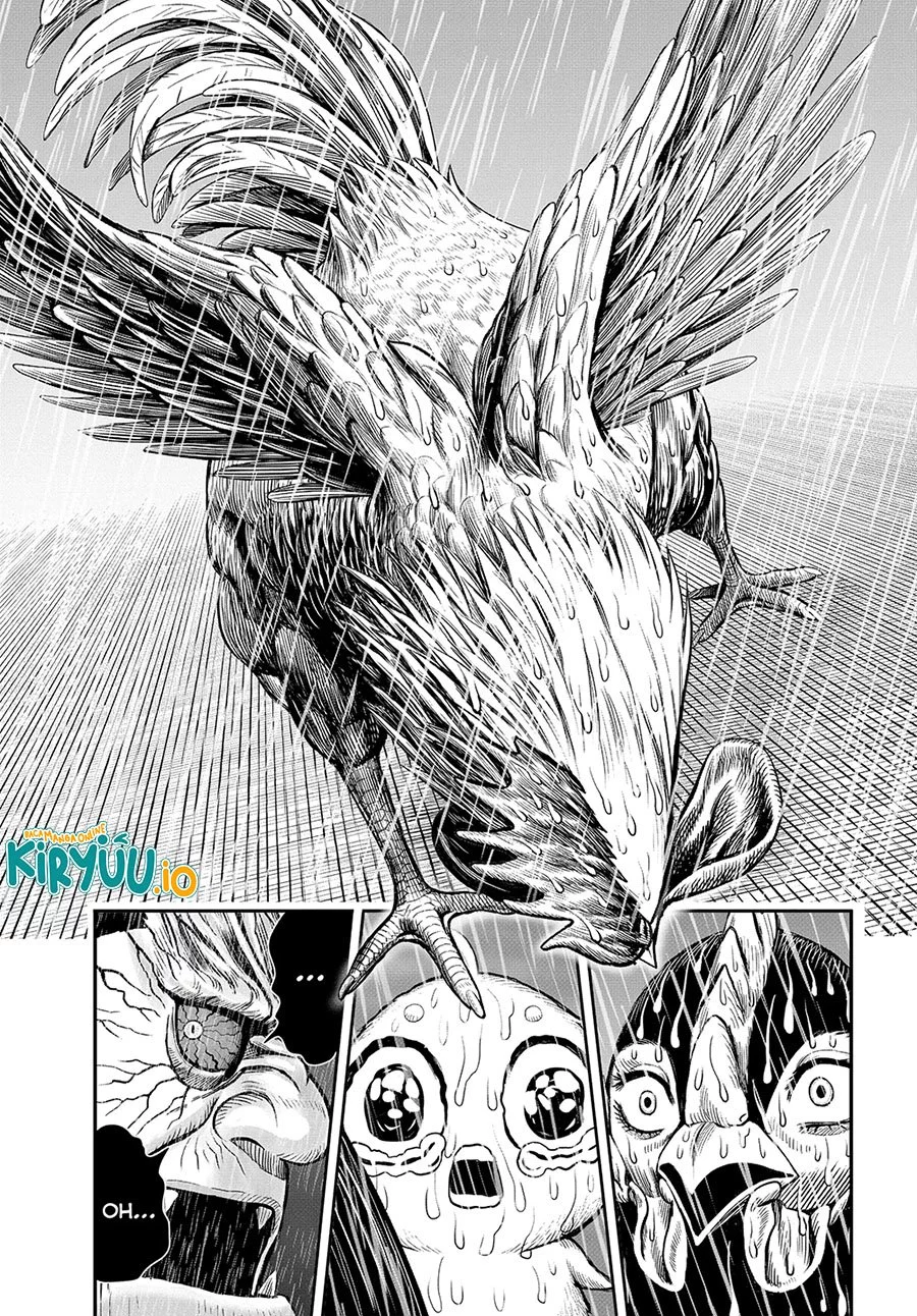 Rooster Fighter Chapter 14 Gambar 32