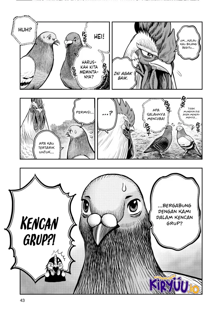Rooster Fighter Chapter 17 Gambar 16