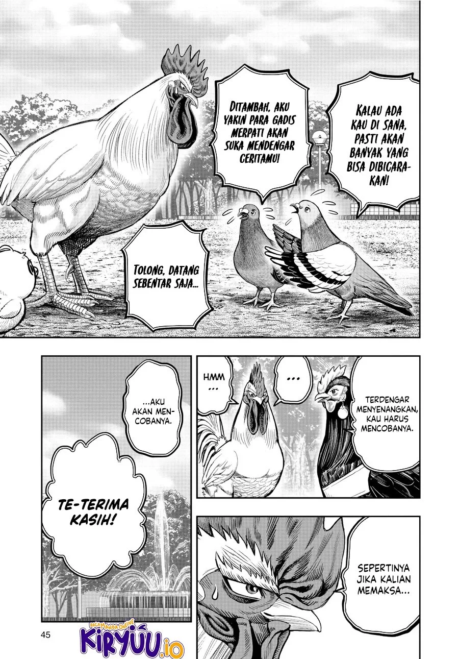Rooster Fighter Chapter 17 Gambar 18