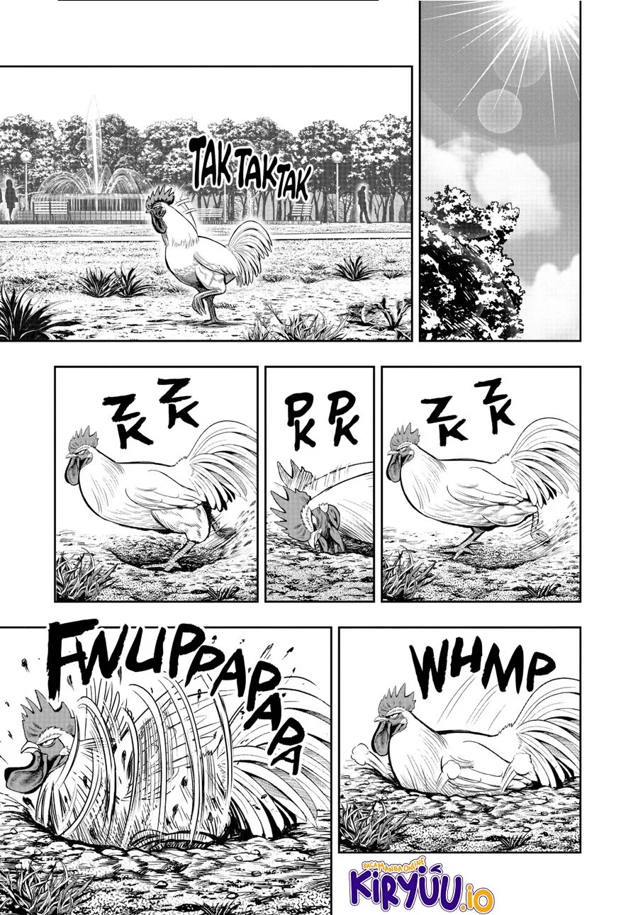 Rooster Fighter Chapter 17 Gambar 12