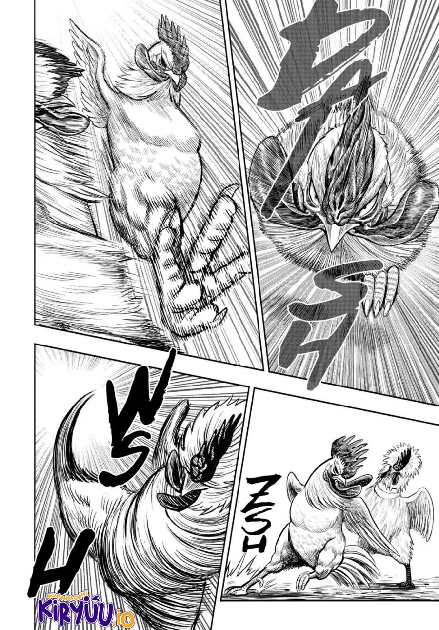 Rooster Fighter Chapter 19 Gambar 29