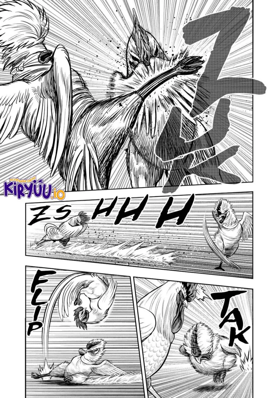 Rooster Fighter Chapter 19 Gambar 30
