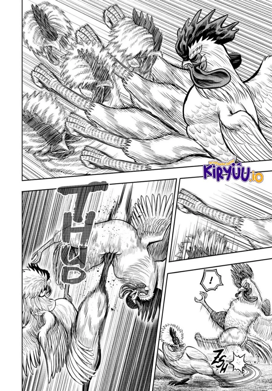 Rooster Fighter Chapter 19 Gambar 33