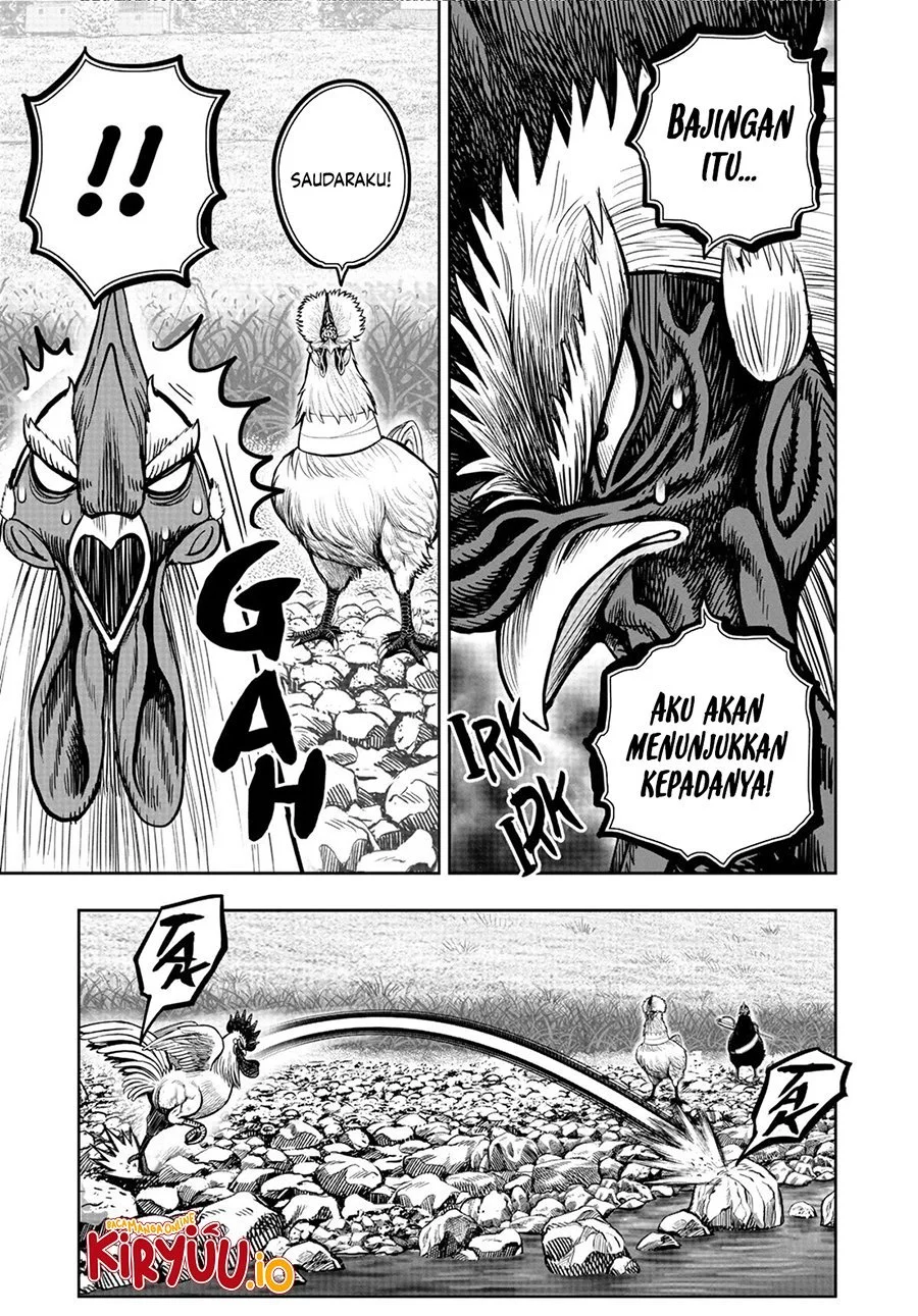 Rooster Fighter Chapter 20 Gambar 10