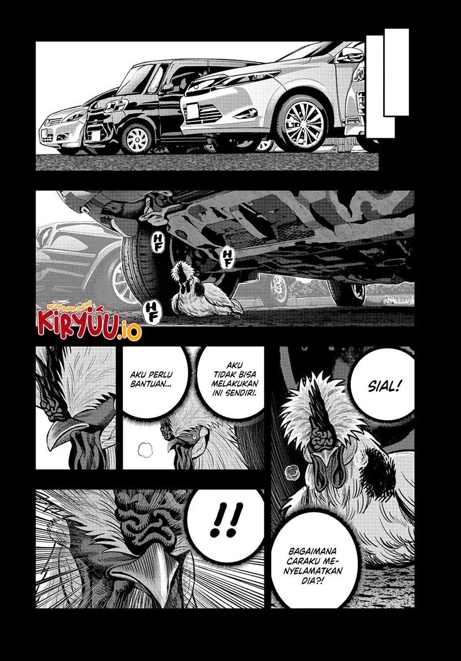 Rooster Fighter Chapter 20 Gambar 42