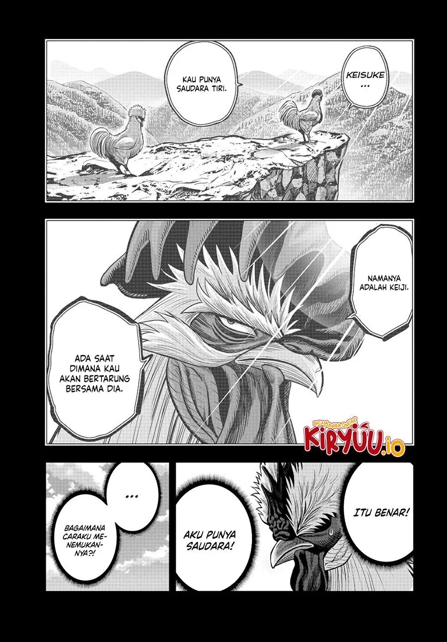 Rooster Fighter Chapter 20 Gambar 43