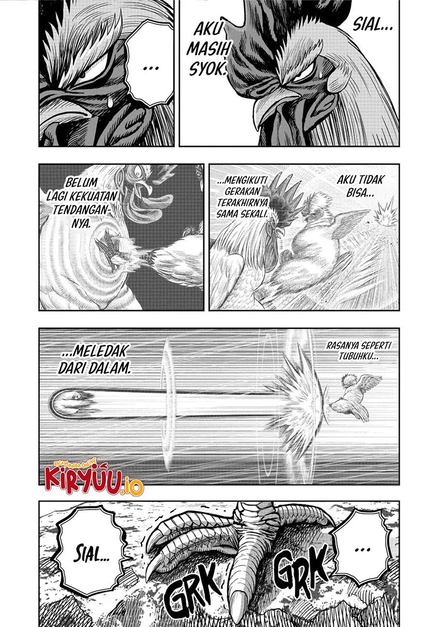 Rooster Fighter Chapter 20 Gambar 9