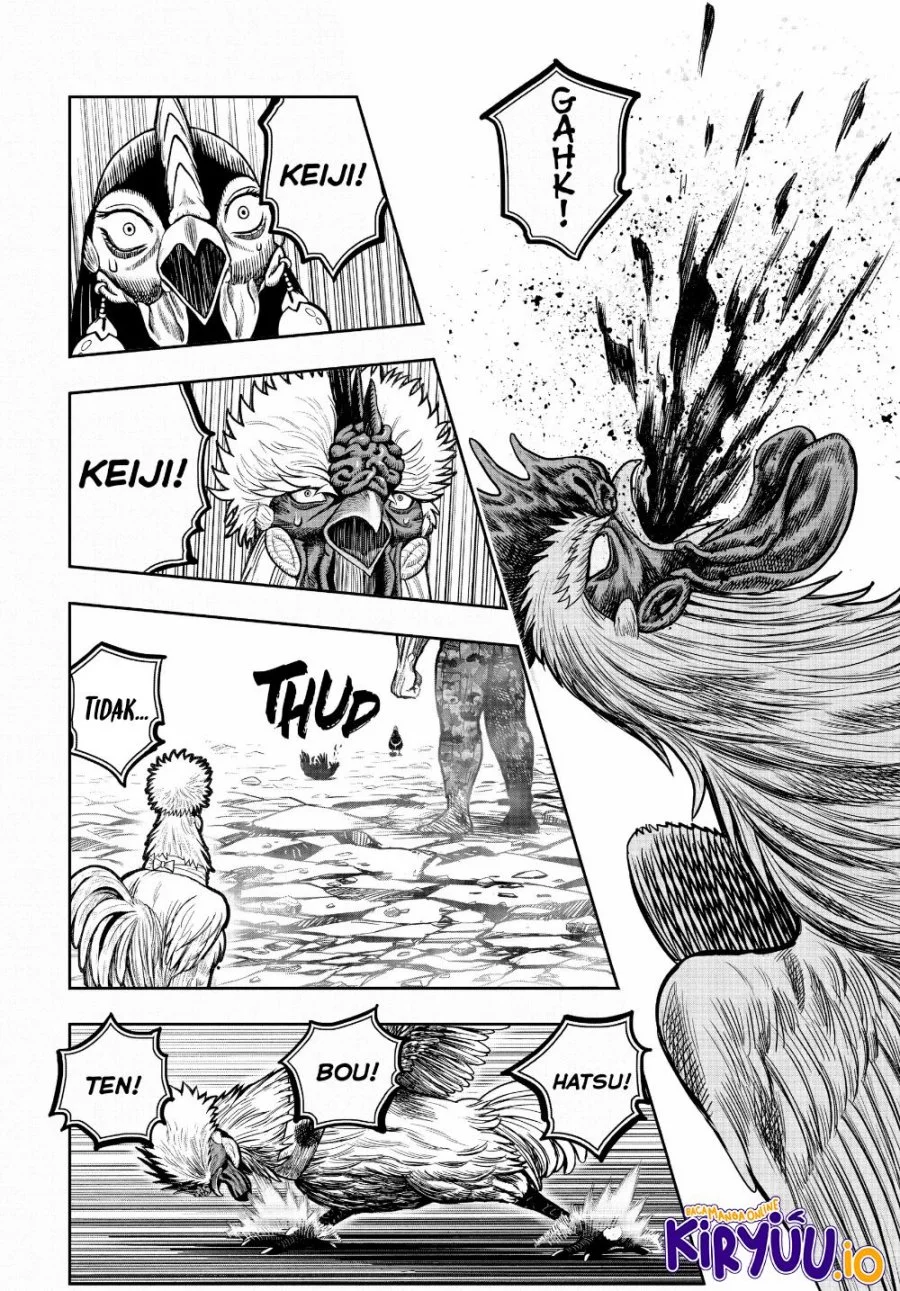 Rooster Fighter Chapter 24 Gambar 30