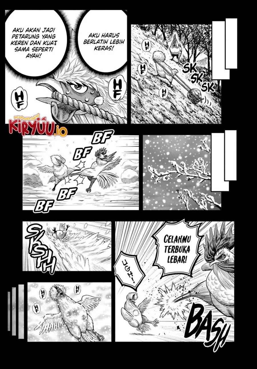 Rooster Fighter Chapter 27 Gambar 16