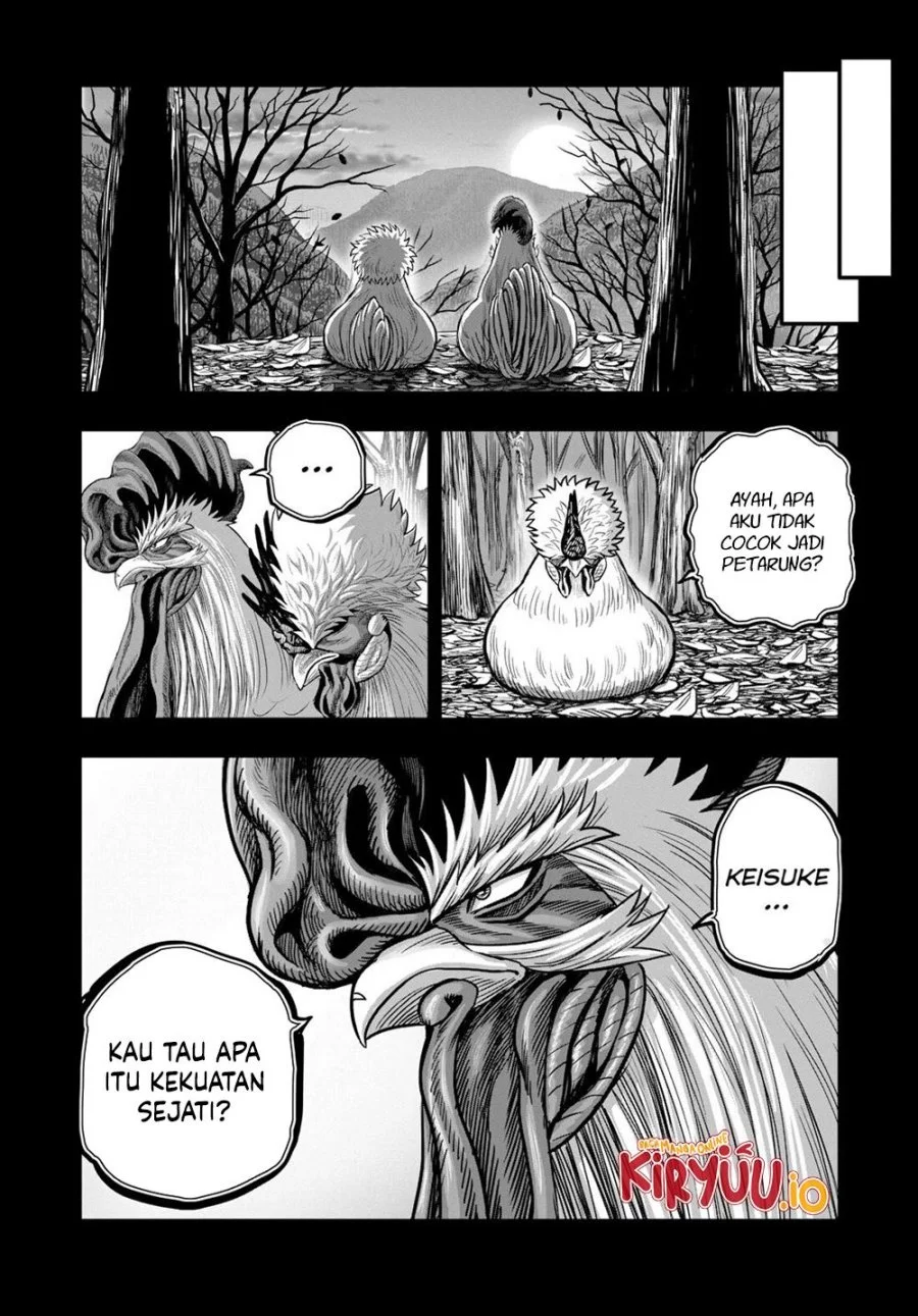 Rooster Fighter Chapter 27 Gambar 17