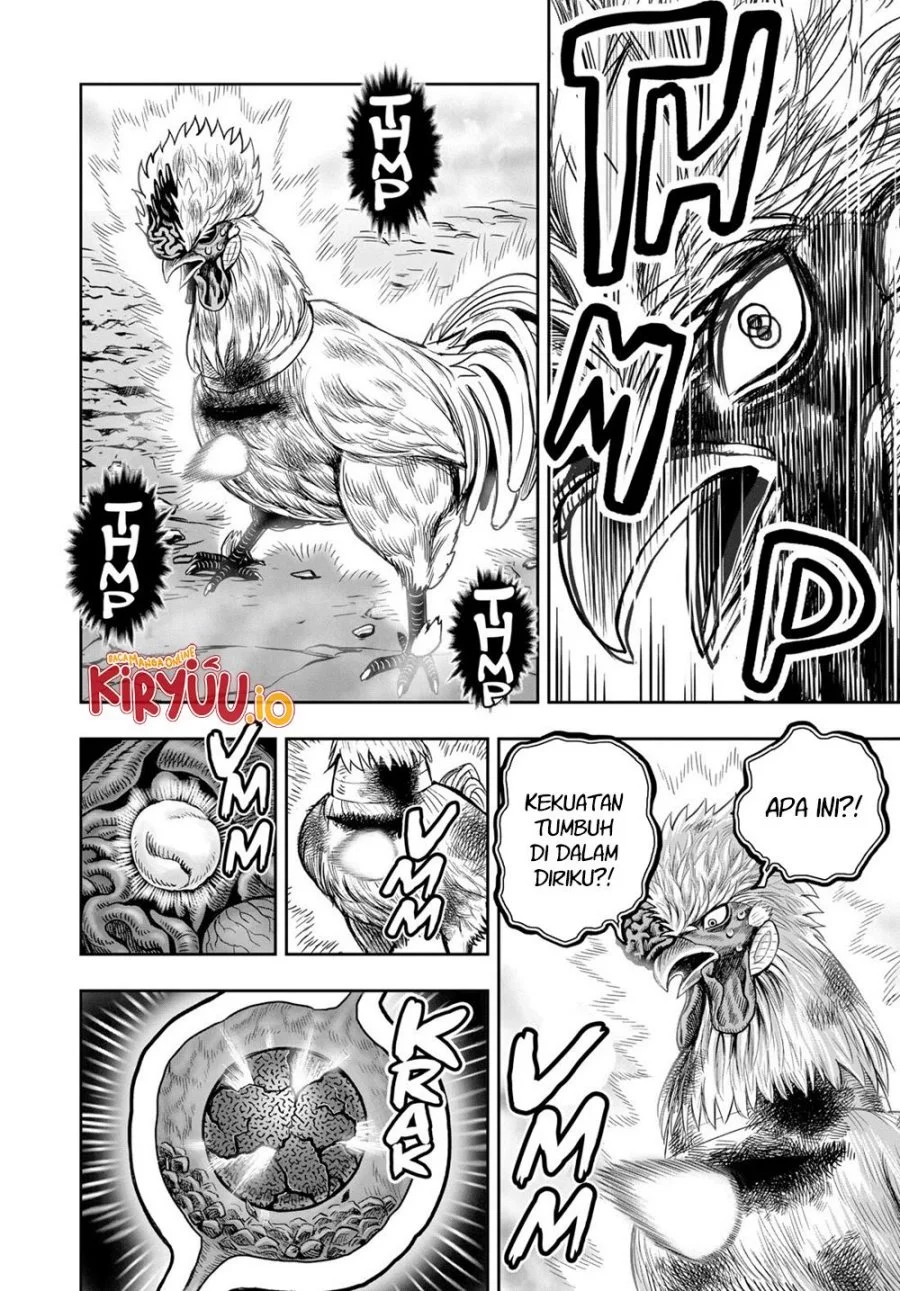 Rooster Fighter Chapter 27 Gambar 47