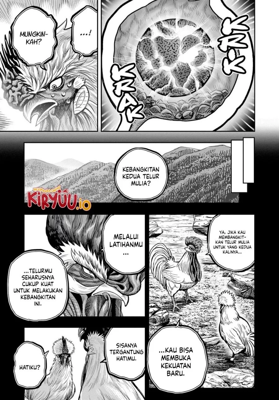 Rooster Fighter Chapter 27 Gambar 48