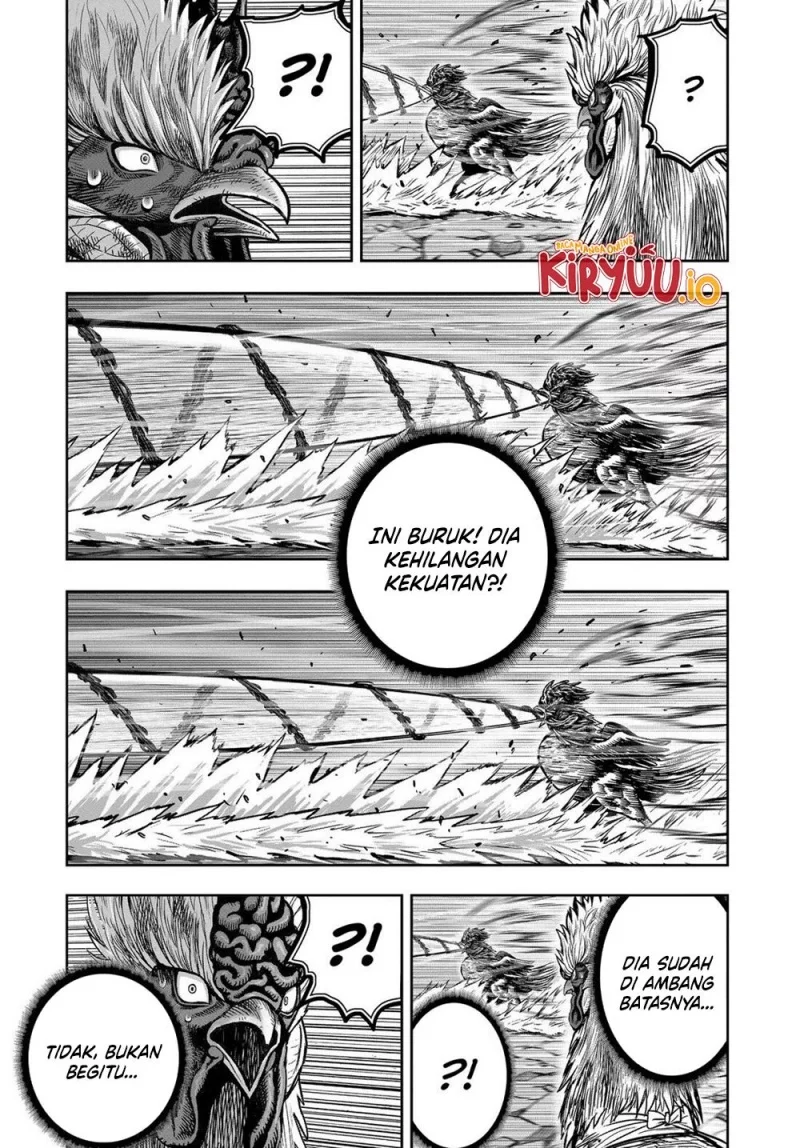 Rooster Fighter Chapter 29 Gambar 77
