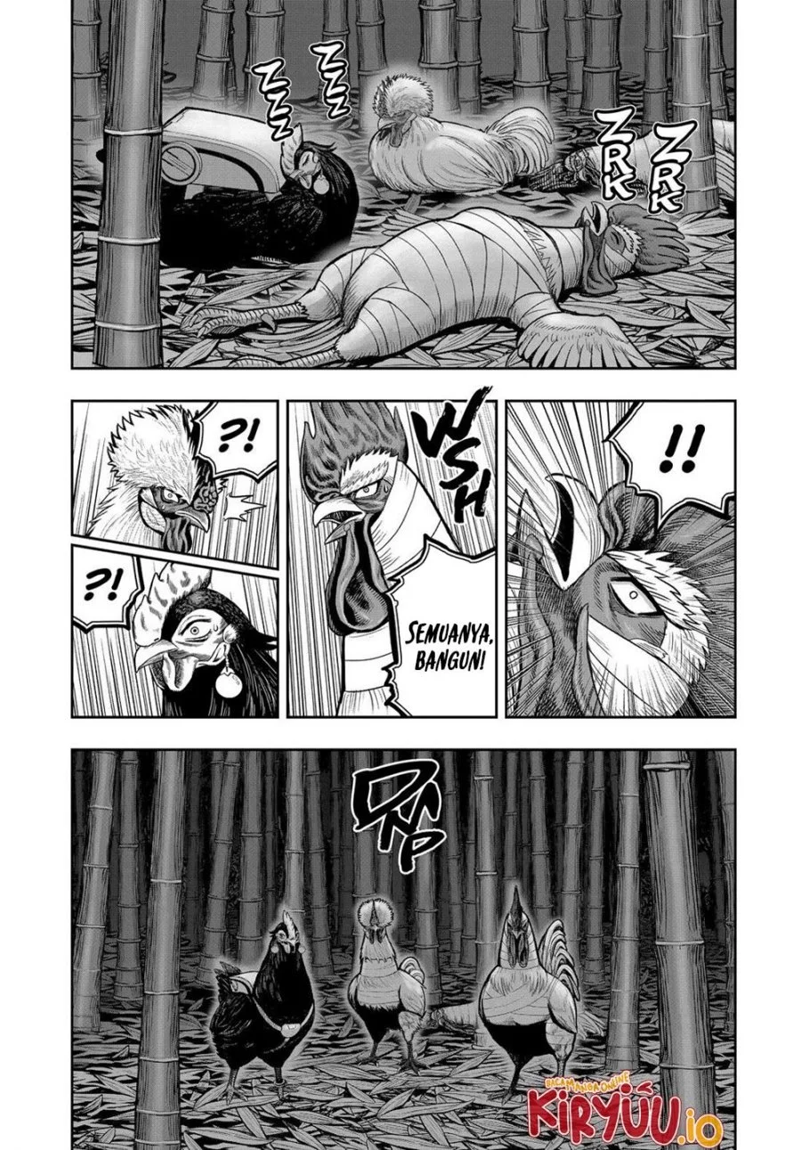 Rooster Fighter Chapter 32 Gambar 19