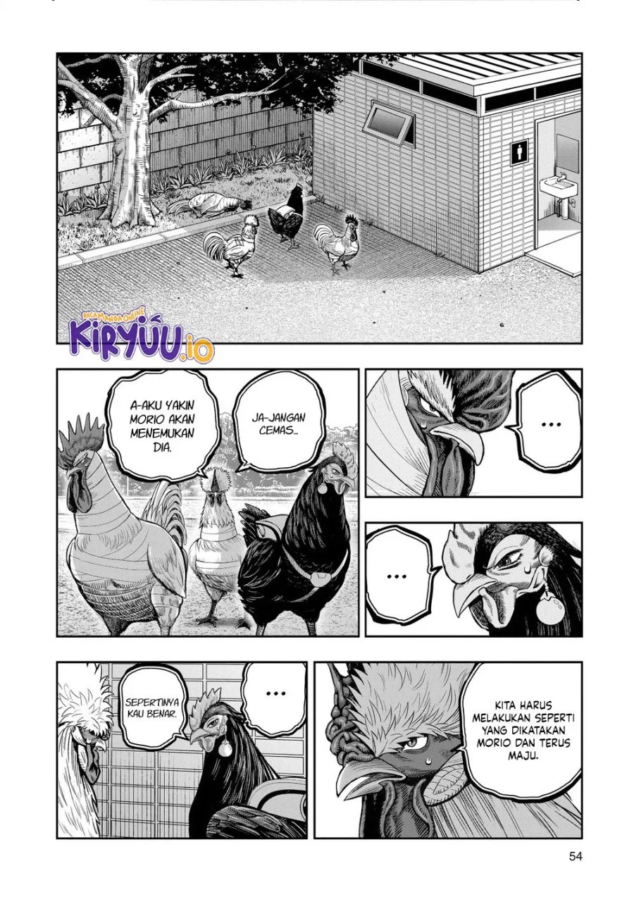 Rooster Fighter Chapter 34 Gambar 13