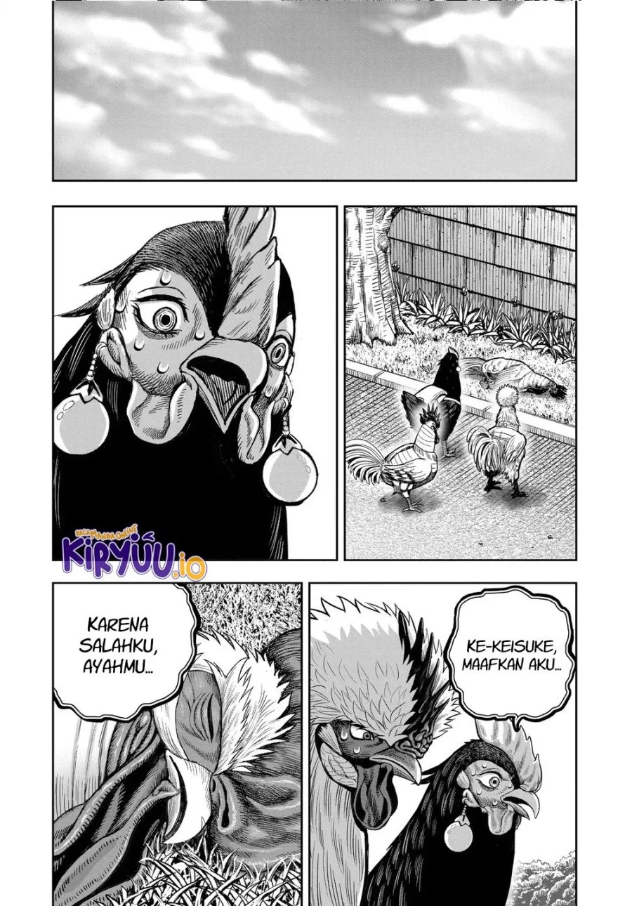 Rooster Fighter Chapter 34 Gambar 38