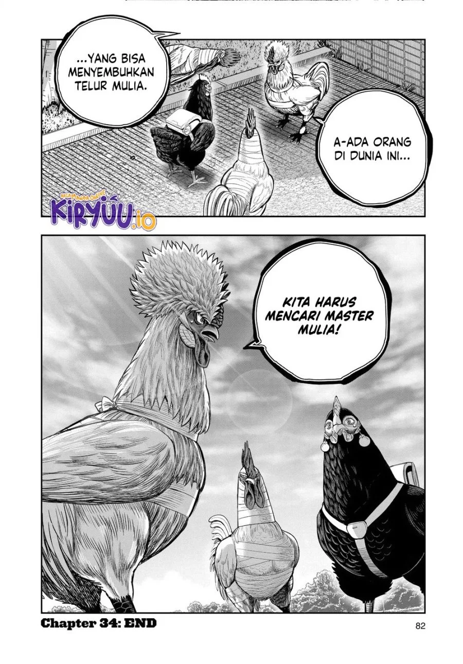 Rooster Fighter Chapter 34 Gambar 41
