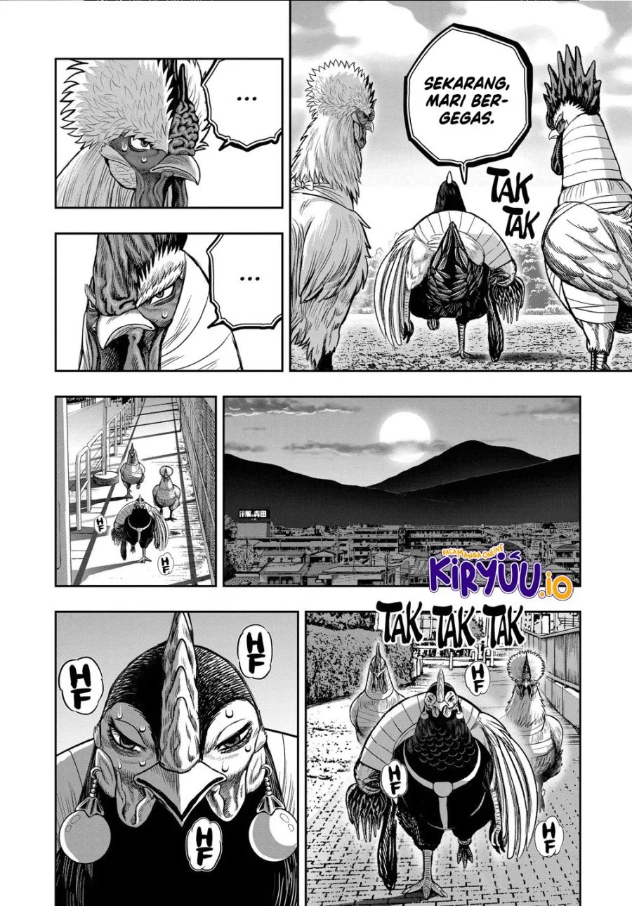 Rooster Fighter Chapter 35 Gambar 9