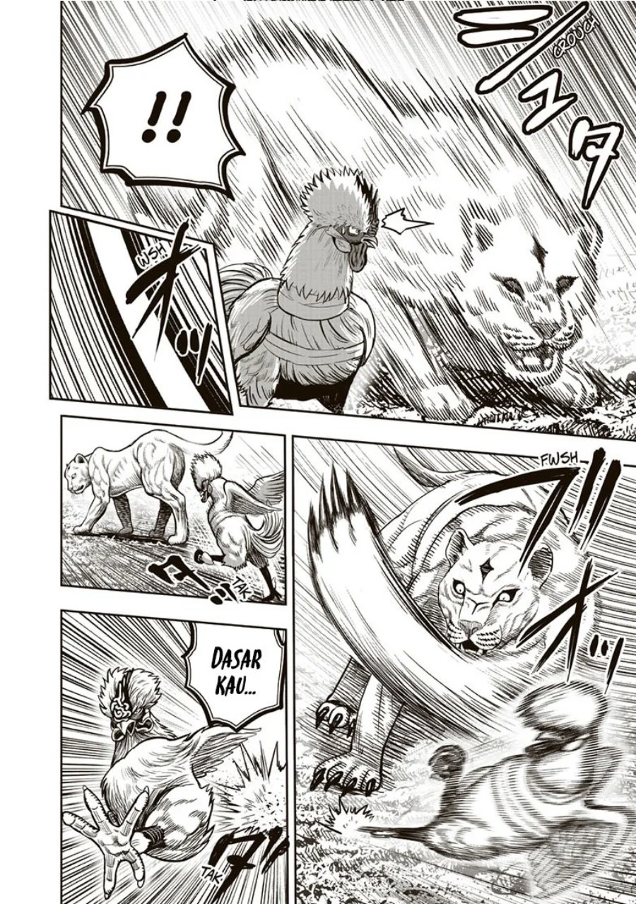 Rooster Fighter Chapter 37 Gambar 31