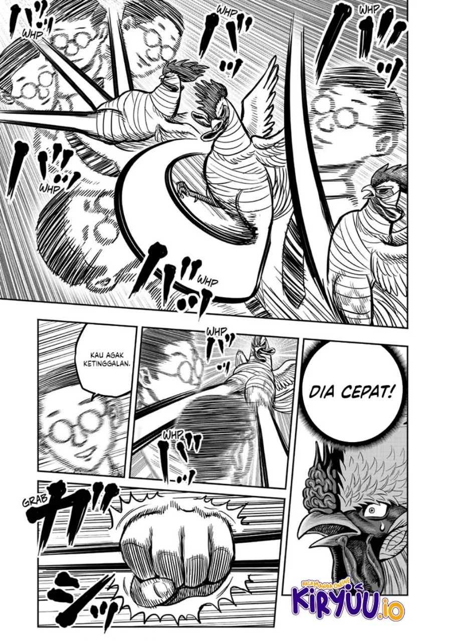 Rooster Fighter Chapter 39 Gambar 16