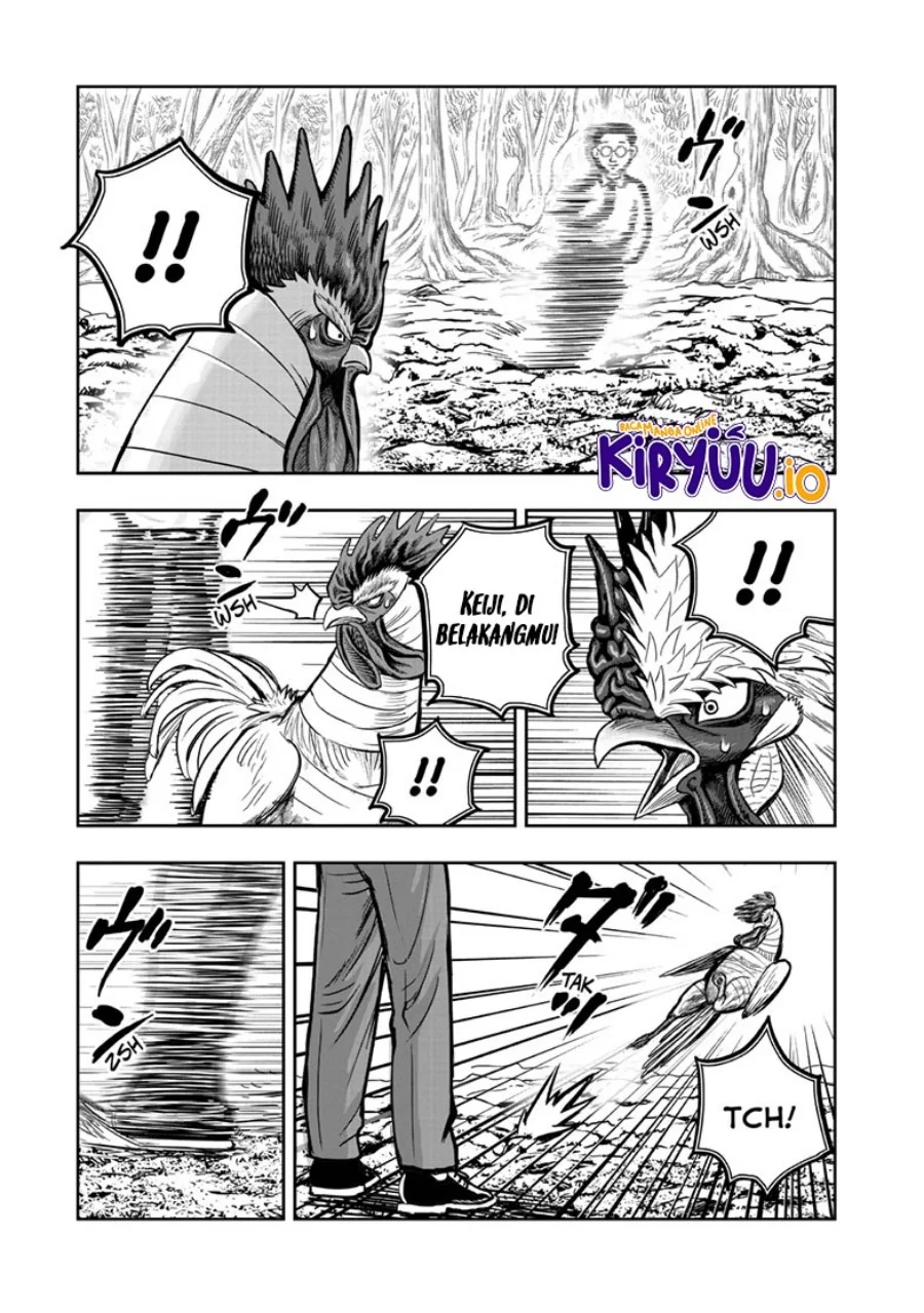 Rooster Fighter Chapter 39 Gambar 20