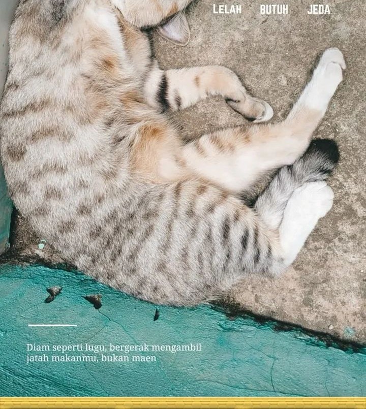 Star Ginseng Store Chapter 40 Gambar 68