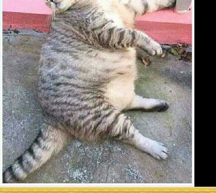 Star Ginseng Store Chapter 45 Gambar 64